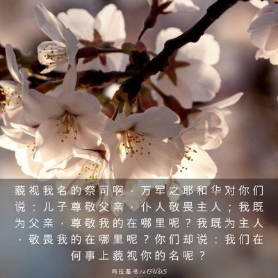Picture 03 - 玛 拉 基 书 1:6 CUVS - 藐 视 我 名 的 祭 司 啊 ， 万 军 之 - Bible Verse Picture