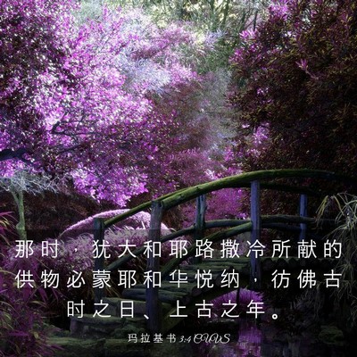 Picture 03 - 玛 拉 基 书 3:4 CUVS - 那 时 ， 犹 大 和 耶 路 撒 冷 所 献 - Bible Verse Picture
