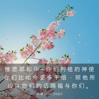 Picture 03 - 申 命 记 1:11 CUVS - 惟 愿 耶 和 华 ─ 你 们 列 祖 的 神 - Bible Verse Picture
