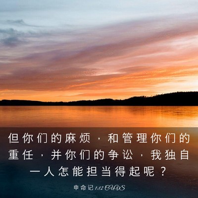 Picture 03 - 申 命 记 1:12 CUVS - 但 你 们 的 麻 烦 ， 和 管 理 你 们 - Bible Verse Picture