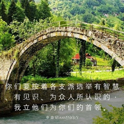 Picture 03 - 申 命 记 1:13 CUVS - 你 们 要 按 着 各 支 派 选 举 有 智 - Bible Verse Picture