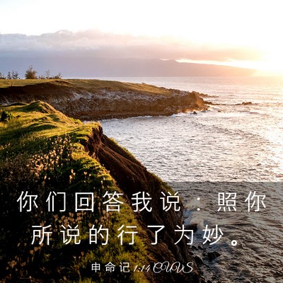 Picture 03 - 申 命 记 1:14 CUVS - 你 们 回 答 我 说 ： 照 你 所 说 的 - Bible Verse Picture