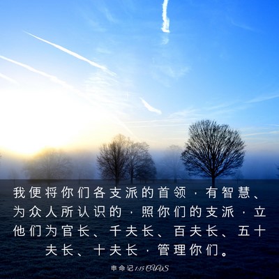 Picture 03 - 申 命 记 1:15 CUVS - 我 便 将 你 们 各 支 派 的 首 领 ， - Bible Verse Picture