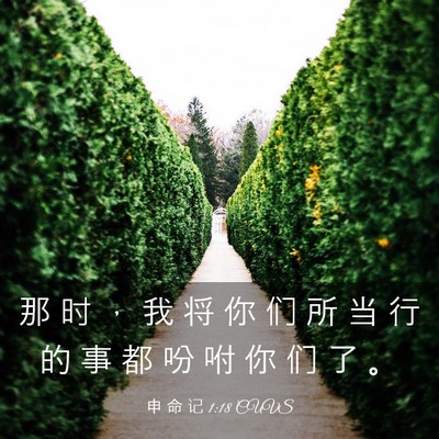 Picture 03 - 申 命 记 1:18 CUVS - 那 时 ， 我 将 你 们 所 当 行 的 事 - Bible Verse Picture