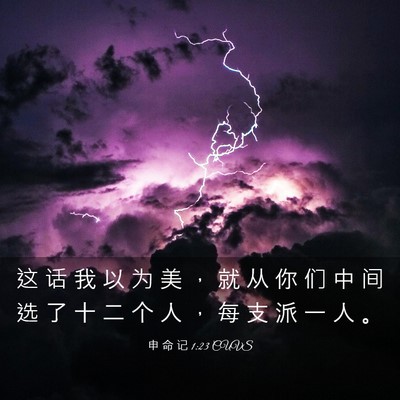 Picture 03 - 申 命 记 1:23 CUVS - 这 话 我 以 为 美 ， 就 从 你 们 中 - Bible Verse Picture