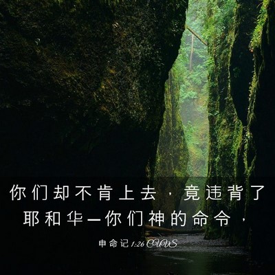 Picture 03 - 申 命 记 1:26 CUVS - 你 们 却 不 肯 上 去 ， 竟 违 背 了 - Bible Verse Picture