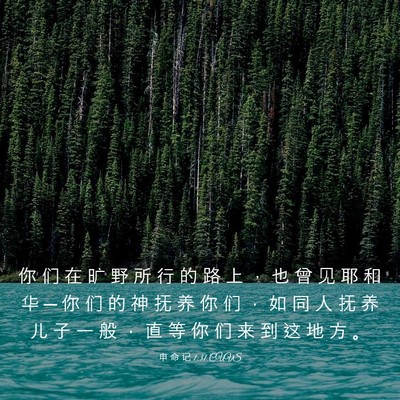 Picture 03 - 申 命 记 1:31 CUVS - 你 们 在 旷 野 所 行 的 路 上 ， 也 - Bible Verse Picture