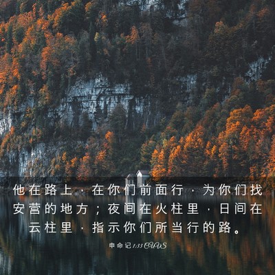 Picture 03 - 申 命 记 1:33 CUVS - 他 在 路 上 ， 在 你 们 前 面 行 ， - Bible Verse Picture