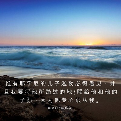 Picture 03 - 申 命 记 1:36 CUVS - 惟 有 耶 孚 尼 的 儿 子 迦 勒 必 得 - Bible Verse Picture