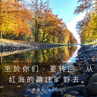 Picture 03 - 申 命 记 1:40 CUVS - 至 於 你 们 ， 要 转 回 ， 从 红 海 - Bible Verse Picture