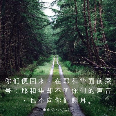 Picture 03 - 申 命 记 1:45 CUVS - 你 们 便 回 来 ， 在 耶 和 华 面 前 - Bible Verse Picture