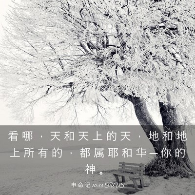 Picture 03 - 申 命 记 10:14 CUVS - 看 哪 ， 天 和 天 上 的 天 ， 地 和 - Bible Verse Picture