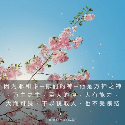 Picture 03 - 申 命 记 10:17 CUVS - 因 为 耶 和 华 ─ 你 们 的 神 ─ 他 - Bible Verse Picture