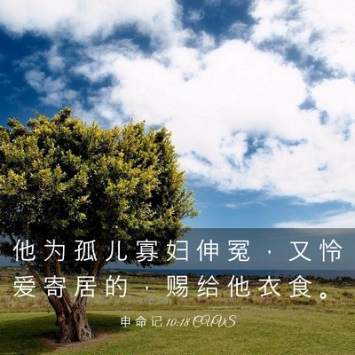 Picture 03 - 申 命 记 10:18 CUVS - 他 为 孤 儿 寡 妇 伸 冤 ， 又 怜 爱 - Bible Verse Picture