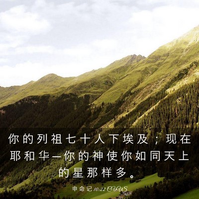 Picture 03 - 申 命 记 10:22 CUVS - 你 的 列 祖 七 十 人 下 埃 及 ； 现 - Bible Verse Picture