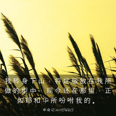 Picture 03 - 申 命 记 10:5 CUVS - 我 转 身 下 山 ， 将 这 版 放 在 我 - Bible Verse Picture