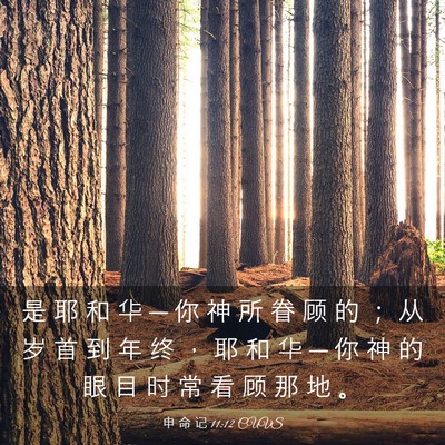 Picture 03 - 申 命 记 11:12 CUVS - 是 耶 和 华 ─ 你 神 所 眷 顾 的 ； - Bible Verse Picture