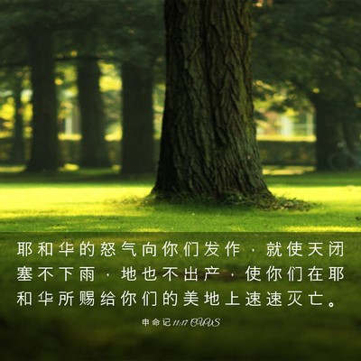 Picture 03 - 申 命 记 11:17 CUVS - 耶 和 华 的 怒 气 向 你 们 发 作 ， - Bible Verse Picture