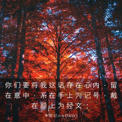 Picture 03 - 申 命 记 11:18 CUVS - 你 们 要 将 我 这 话 存 在 心 内 ， - Bible Verse Picture