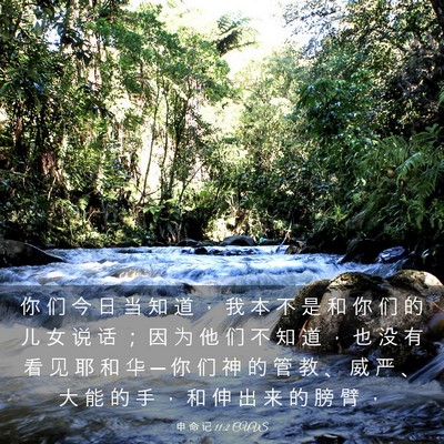 Picture 03 - 申 命 记 11:2 CUVS - 你 们 今 日 当 知 道 ， 我 本 不 是 - Bible Verse Picture