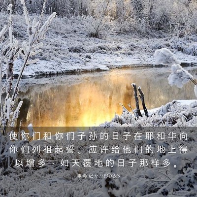 Picture 03 - 申 命 记 11:21 CUVS - 使 你 们 和 你 们 子 孙 的 日 子 在 - Bible Verse Picture