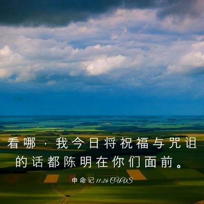 Picture 03 - 申 命 记 11:26 CUVS - 看 哪 ， 我 今 日 将 祝 福 与 咒 诅 - Bible Verse Picture