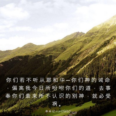 Picture 03 - 申 命 记 11:28 CUVS - 你 们 若 不 听 从 耶 和 华 ─ 你 们 - Bible Verse Picture