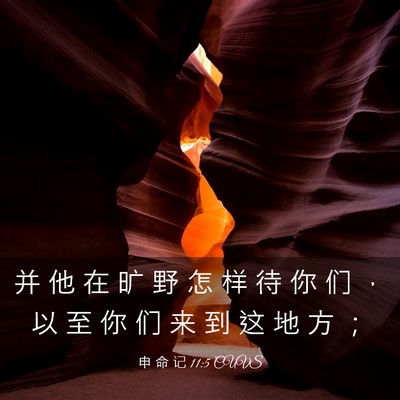 Picture 03 - 申 命 记 11:5 CUVS - 并 他 在 旷 野 怎 样 待 你 们 ， 以 - Bible Verse Picture