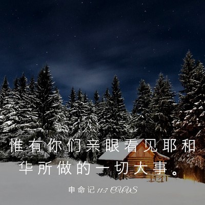 Picture 03 - 申 命 记 11:7 CUVS - 惟 有 你 们 亲 眼 看 见 耶 和 华 所 - Bible Verse Picture