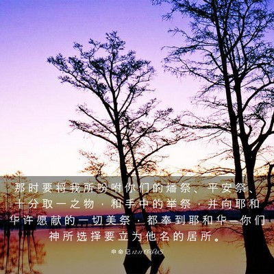 Picture 03 - 申 命 记 12:11 CUVS - 那 时 要 将 我 所 吩 咐 你 们 的 燔 - Bible Verse Picture