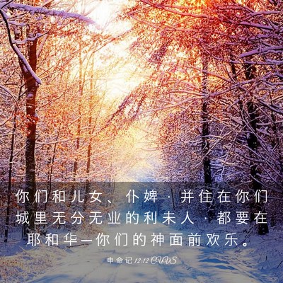 Picture 03 - 申 命 记 12:12 CUVS - 你 们 和 儿 女 、 仆 婢 ， 并 住 在 - Bible Verse Picture