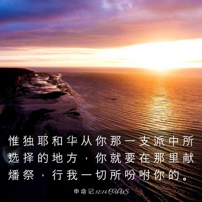 Picture 03 - 申 命 记 12:14 CUVS - 惟 独 耶 和 华 从 你 那 一 支 派 中 - Bible Verse Picture