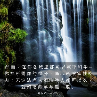 Picture 03 - 申 命 记 12:15 CUVS - 然 而 ， 在 你 各 城 里 都 可 以 照 - Bible Verse Picture
