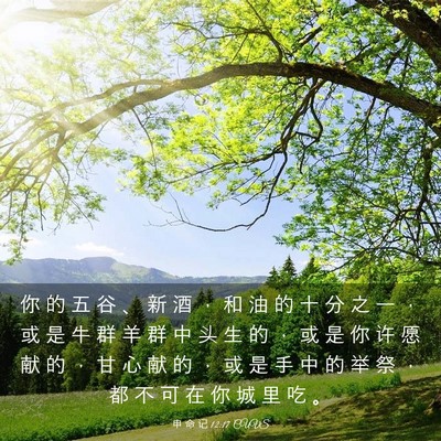 Picture 03 - 申 命 记 12:17 CUVS - 你 的 五 谷 、 新 酒 ， 和 油 的 十 - Bible Verse Picture