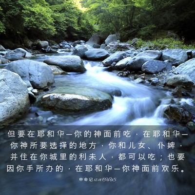 Picture 03 - 申 命 记 12:18 CUVS - 但 要 在 耶 和 华 ─ 你 的 神 面 前 - Bible Verse Picture