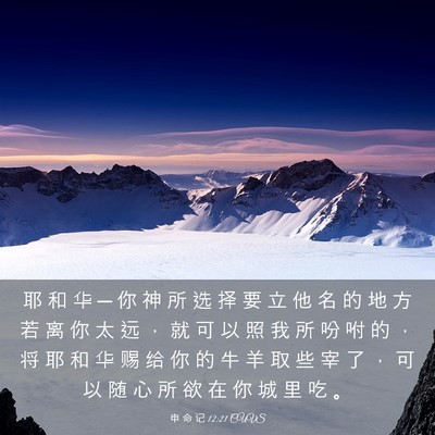 Picture 03 - 申 命 记 12:21 CUVS - 耶 和 华 ─ 你 神 所 选 择 要 立 他 - Bible Verse Picture