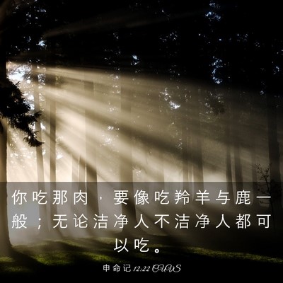 Picture 03 - 申 命 记 12:22 CUVS - 你 吃 那 肉 ， 要 像 吃 羚 羊 与 鹿 - Bible Verse Picture