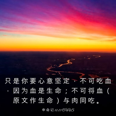 Picture 03 - 申 命 记 12:23 CUVS - 只 是 你 要 心 意 坚 定 ， 不 可 吃 - Bible Verse Picture