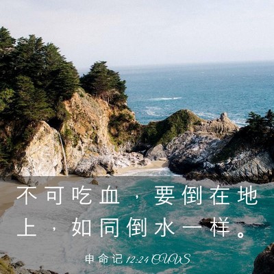 Picture 03 - 申 命 记 12:24 CUVS - 不 可 吃 血 ， 要 倒 在 地 上 ， 如 - Bible Verse Picture