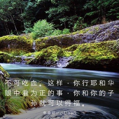 Picture 03 - 申 命 记 12:25 CUVS - 不 可 吃 血 。 这 样 ， 你 行 耶 和 - Bible Verse Picture
