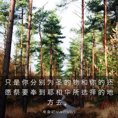 Picture 03 - 申 命 记 12:26 CUVS - 只 是 你 分 别 为 圣 的 物 和 你 的 - Bible Verse Picture