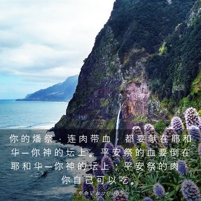 Picture 03 - 申 命 记 12:27 CUVS - 你 的 燔 祭 ， 连 肉 带 血 ， 都 要 - Bible Verse Picture