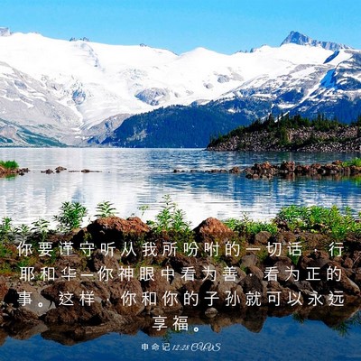 Picture 03 - 申 命 记 12:28 CUVS - 你 要 谨 守 听 从 我 所 吩 咐 的 一 - Bible Verse Picture