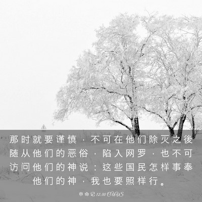 Picture 03 - 申 命 记 12:30 CUVS - 那 时 就 要 谨 慎 ， 不 可 在 他 们 - Bible Verse Picture