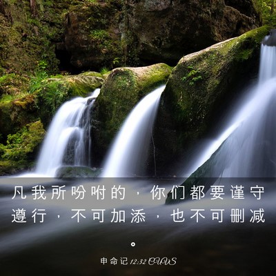 Picture 03 - 申 命 记 12:32 CUVS - 凡 我 所 吩 咐 的 ， 你 们 都 要 谨 - Bible Verse Picture