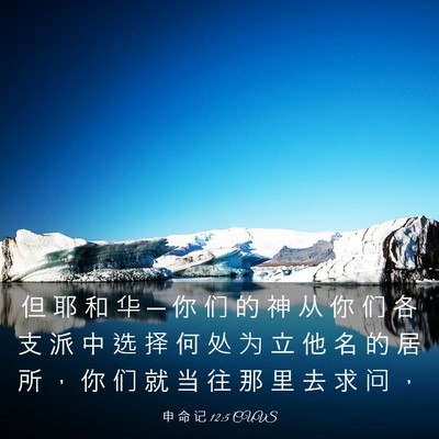 Picture 03 - 申 命 记 12:5 CUVS - 但 耶 和 华 ─ 你 们 的 神 从 你 们 - Bible Verse Picture