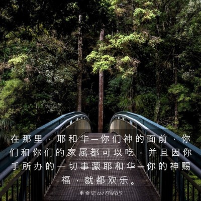 Picture 03 - 申 命 记 12:7 CUVS - 在 那 里 ， 耶 和 华 ─ 你 们 神 的 - Bible Verse Picture