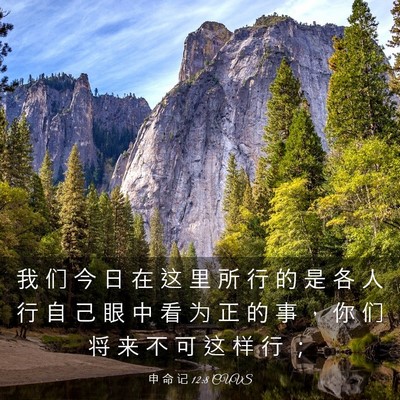 Picture 03 - 申 命 记 12:8 CUVS - 我 们 今 日 在 这 里 所 行 的 是 各 - Bible Verse Picture