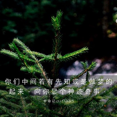 Picture 03 - 申 命 记 13:1 CUVS - 你 们 中 间 若 有 先 知 或 是 做 梦 - Bible Verse Picture