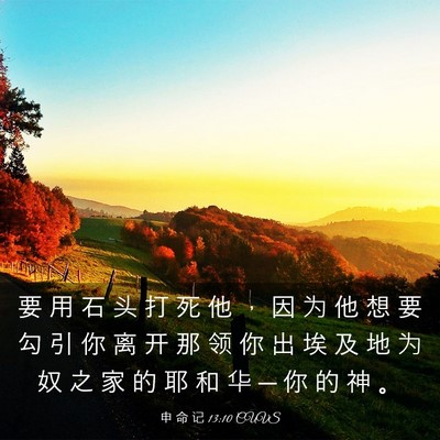 Picture 03 - 申 命 记 13:10 CUVS - 要 用 石 头 打 死 他 ， 因 为 他 想 - Bible Verse Picture